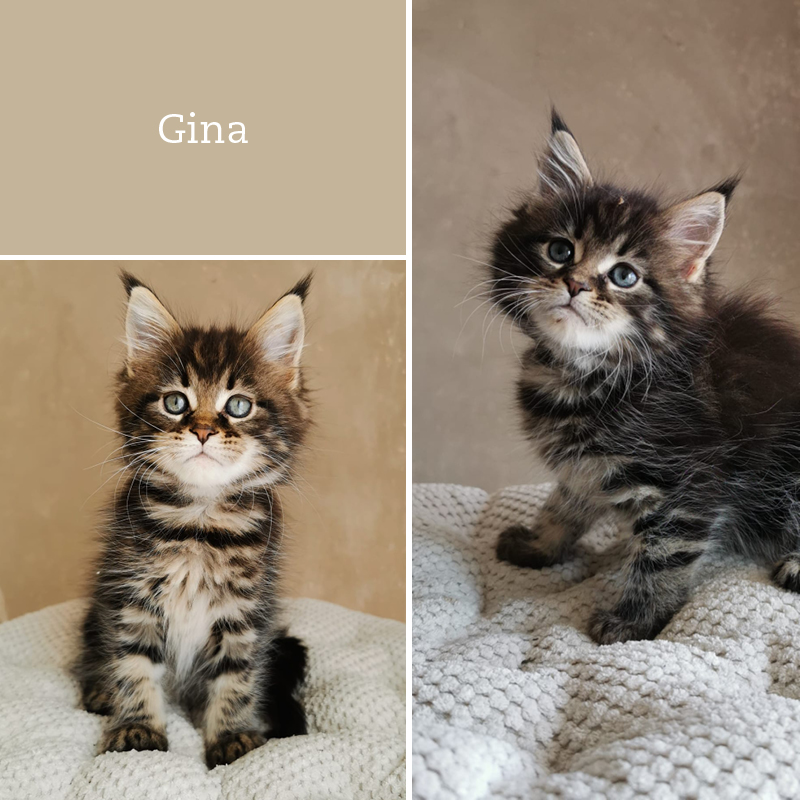 sunalps-wurf-G1-Gina-02.05.2021-01